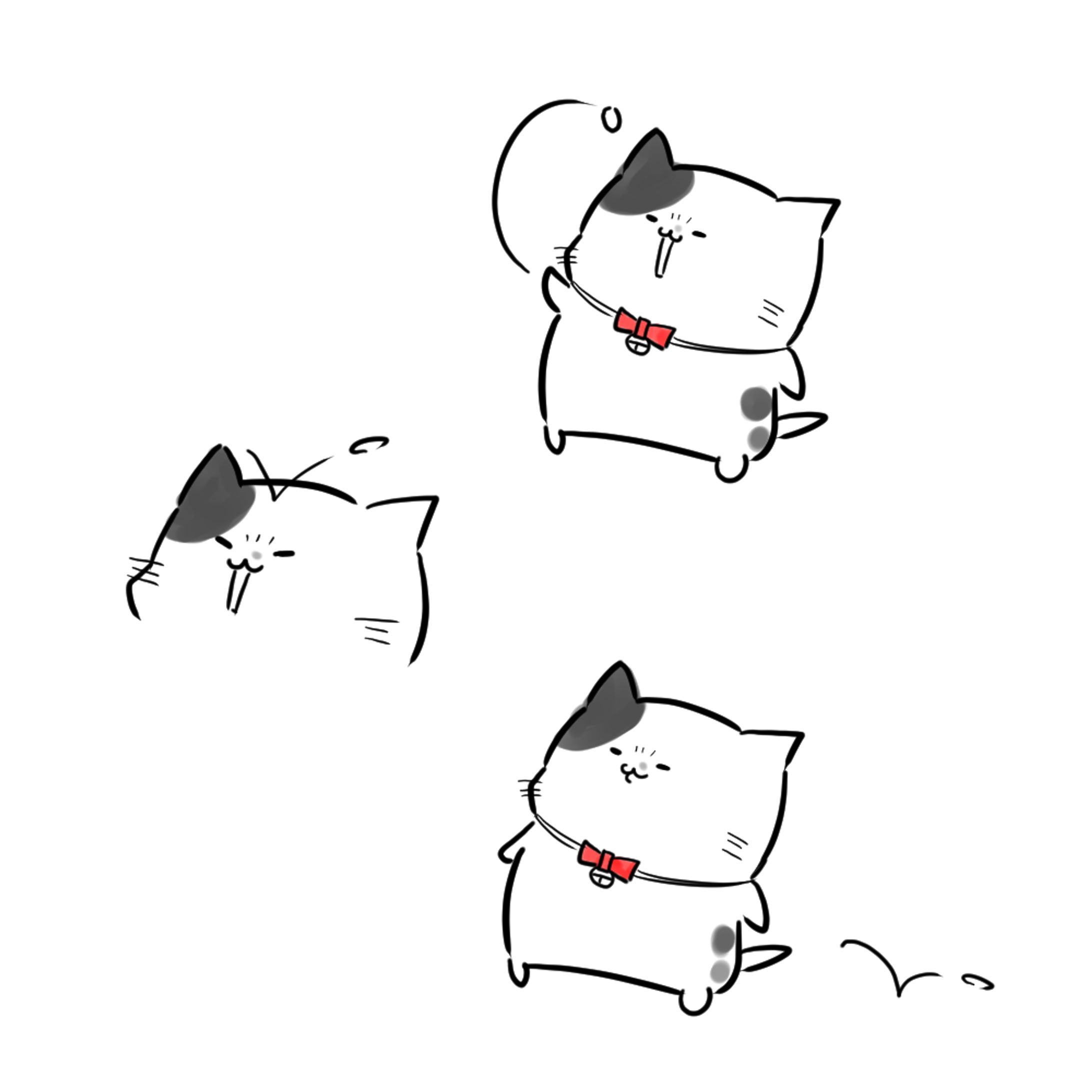 猫-1