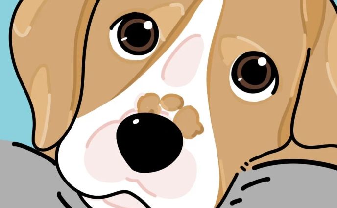 犬