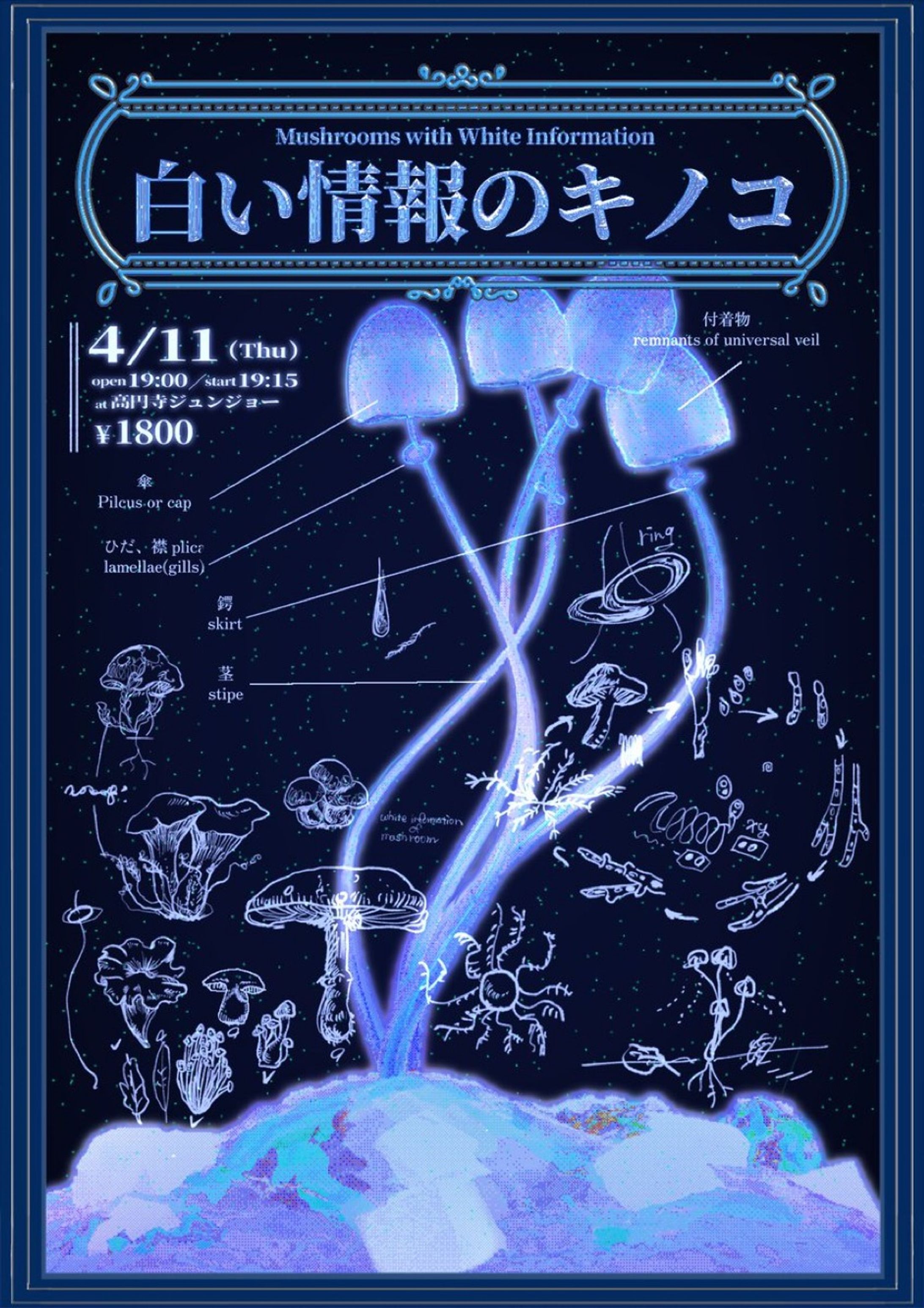 ラクシュミ お笑いライブ｢白い情報のキノコ｣フライヤー-1