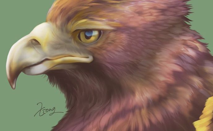 eagle