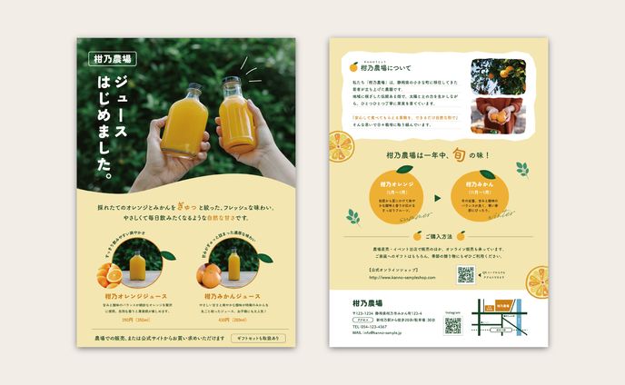 チラシ / 新商品