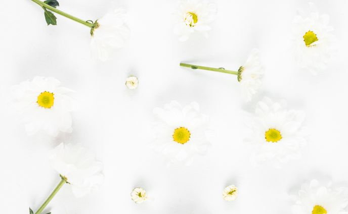 ＜背景用画像＞