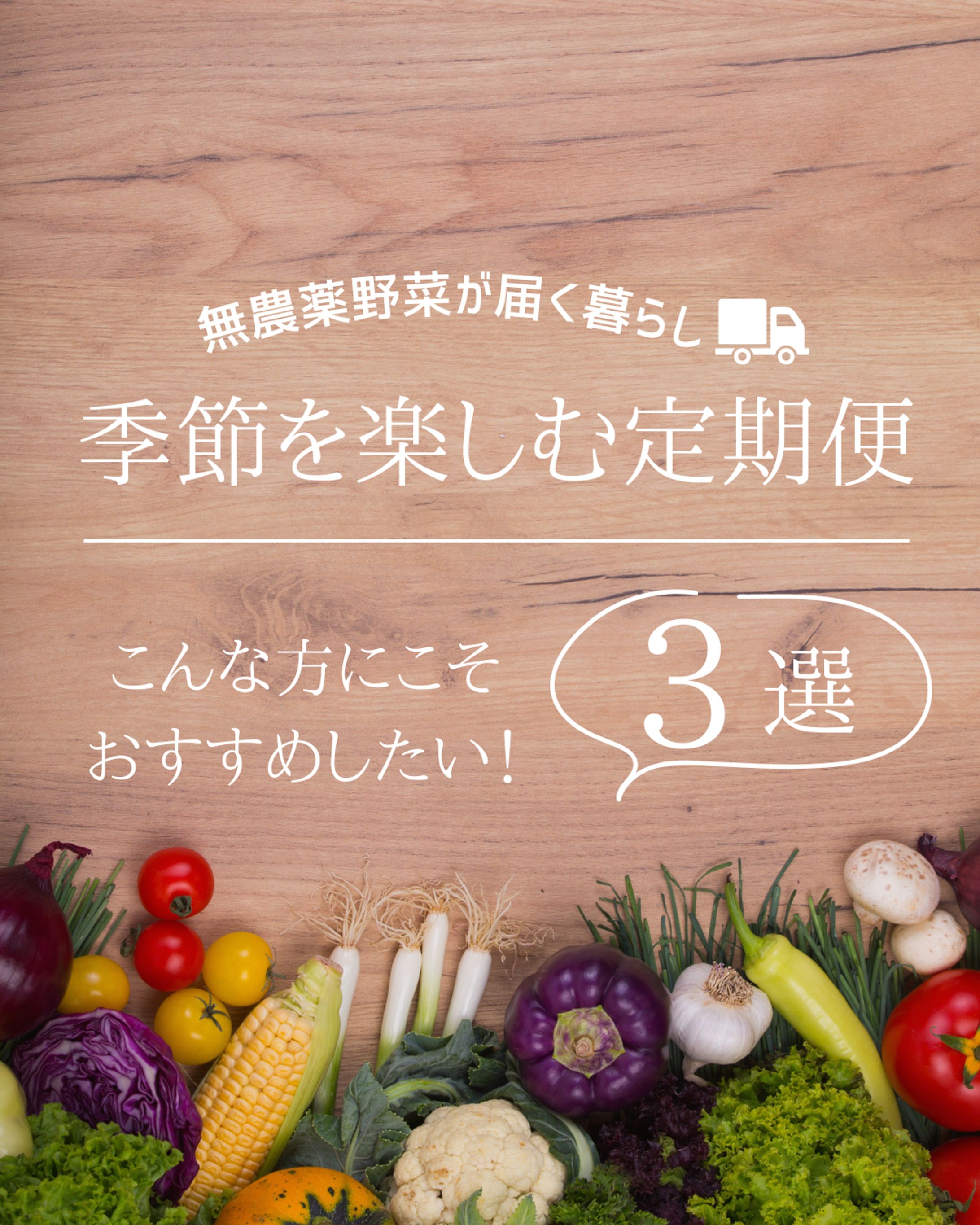 【健康】野菜定期便-1