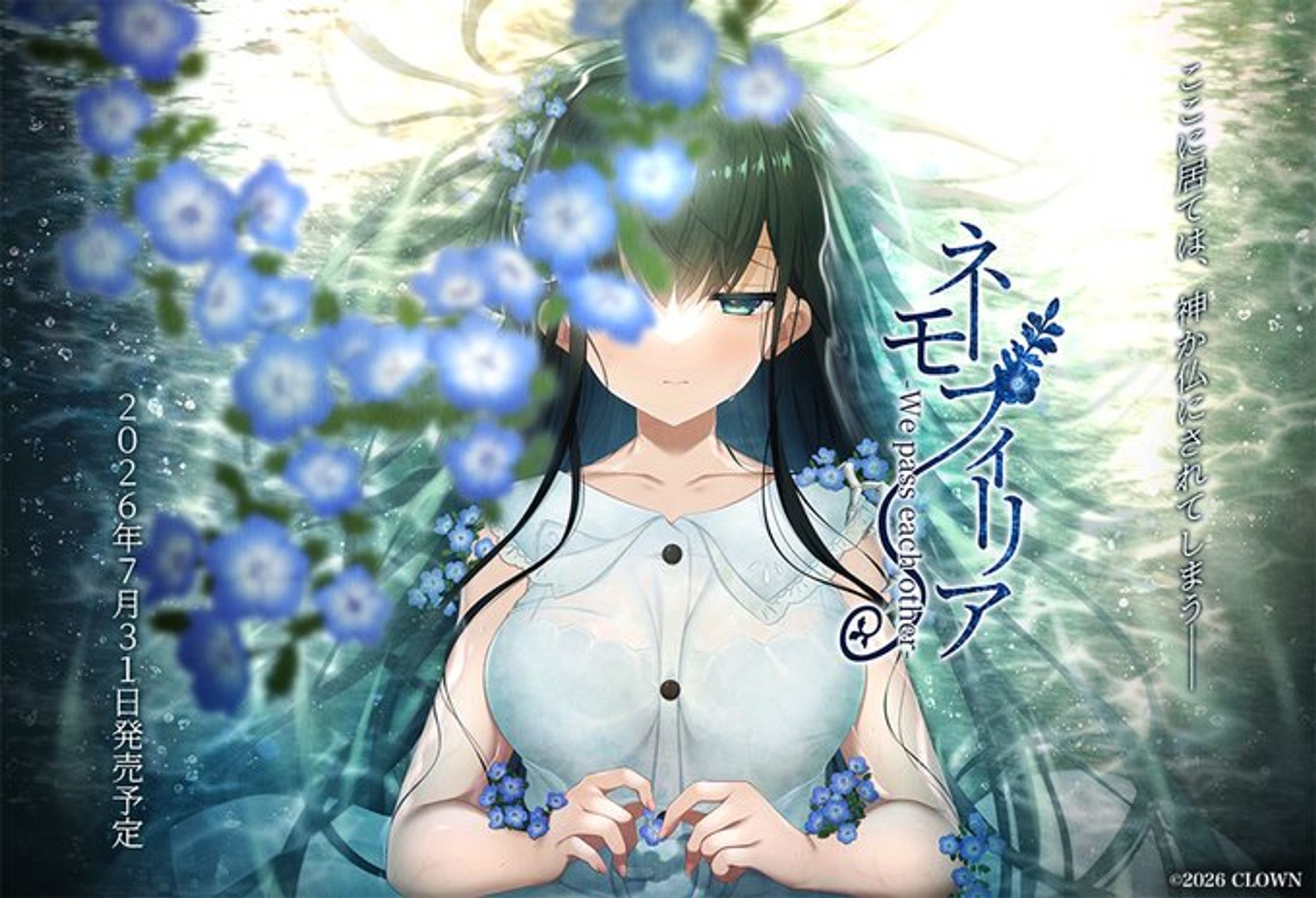ネモフィリア-We pass each other--1