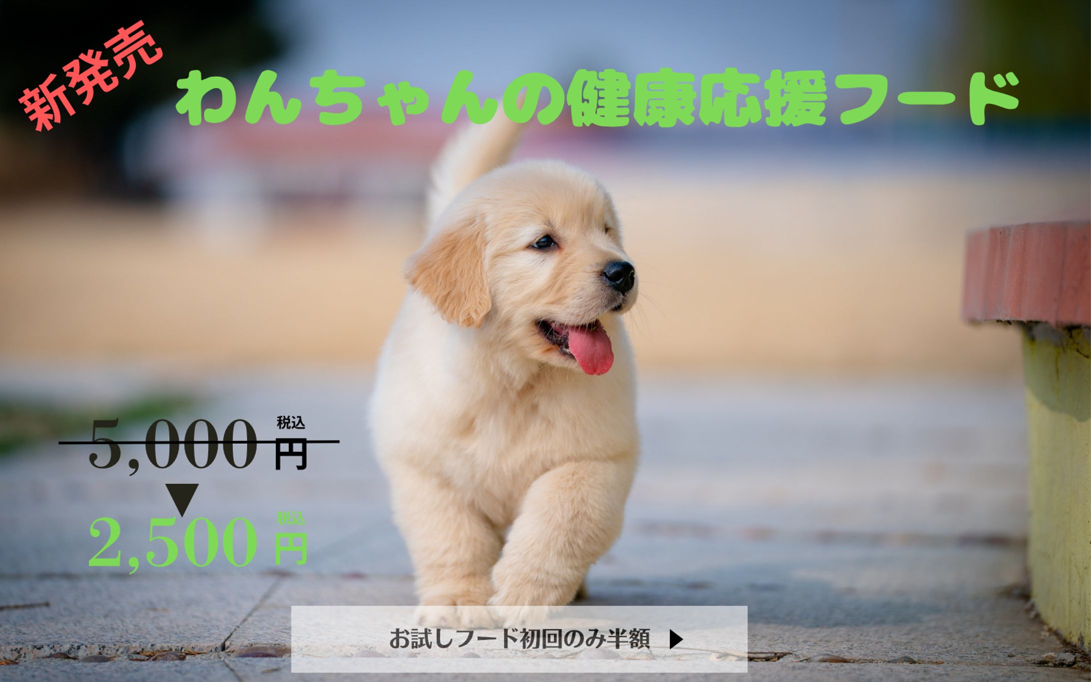 【Hertech架空案件】ドッグフード紹介LP-1