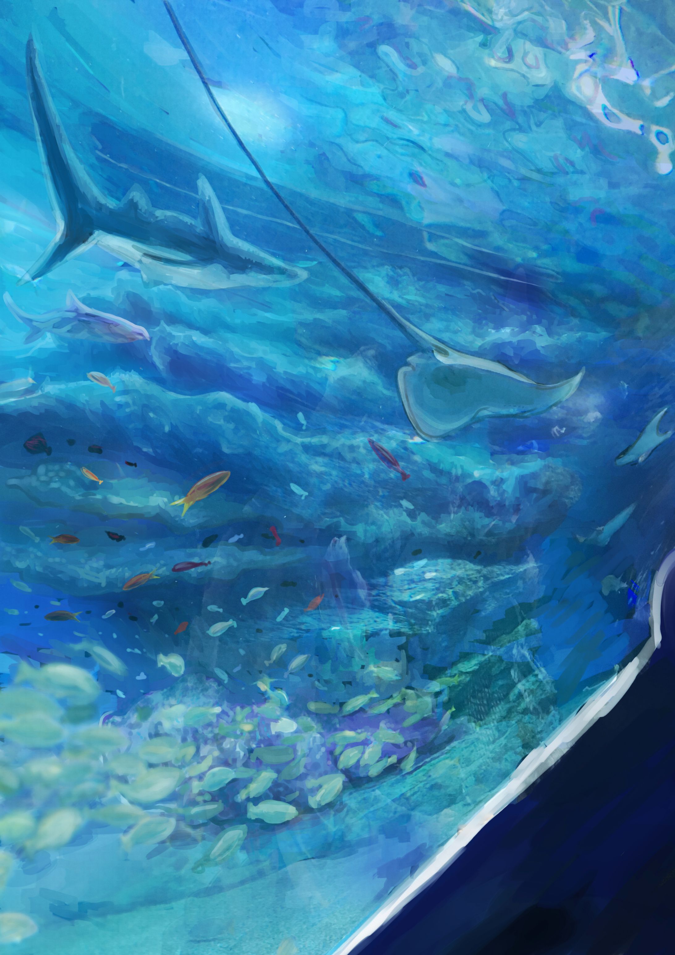 水族館-1