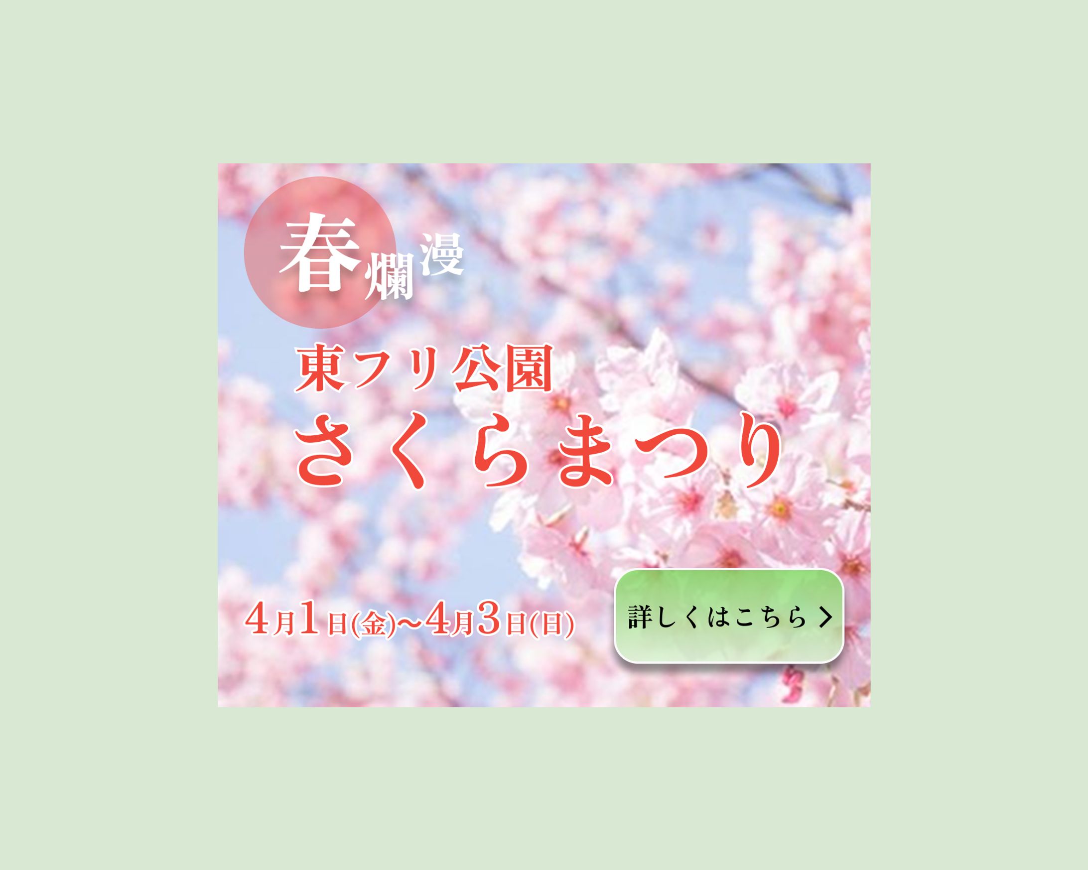 さくらまつり　バナー-1