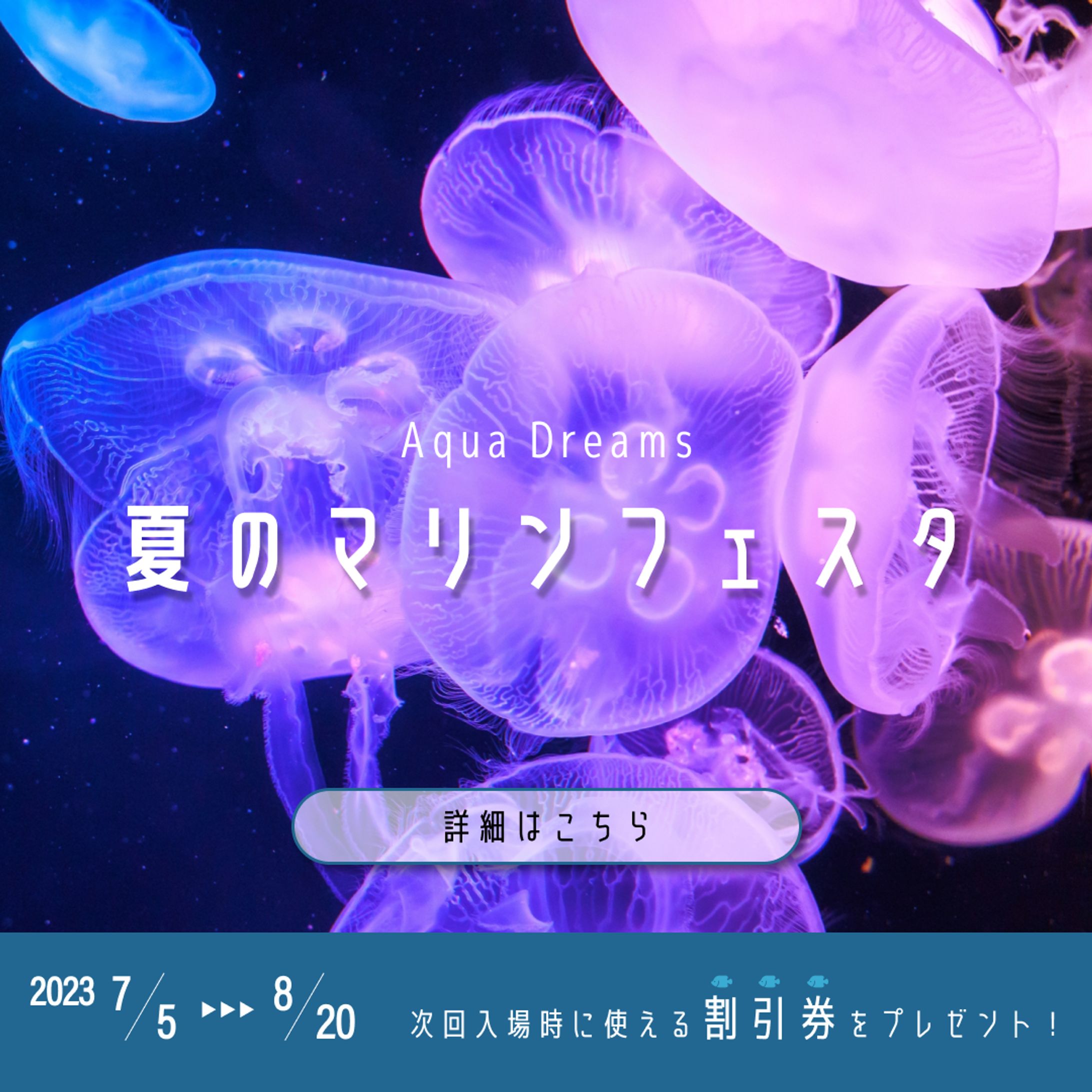 水族館広告バナー-1