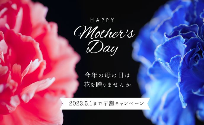 母の日_バナー