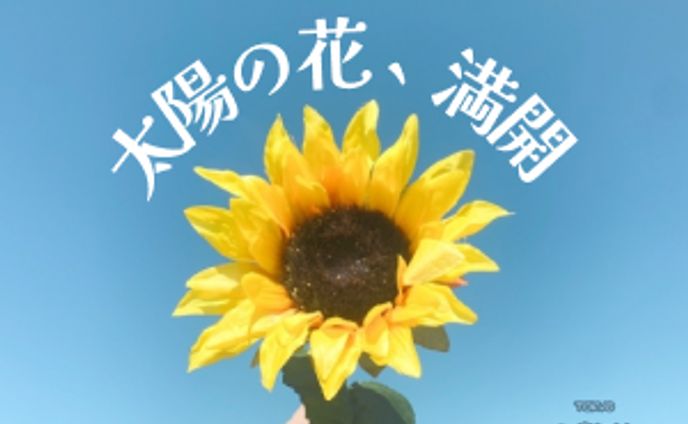 バナー、課題絵