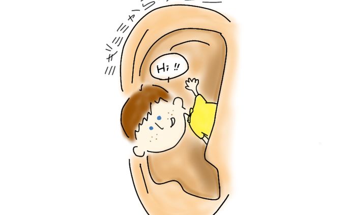 右耳からケビン