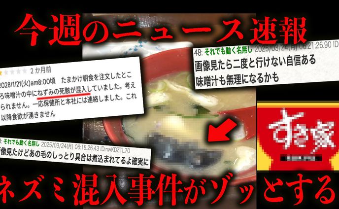ニュース