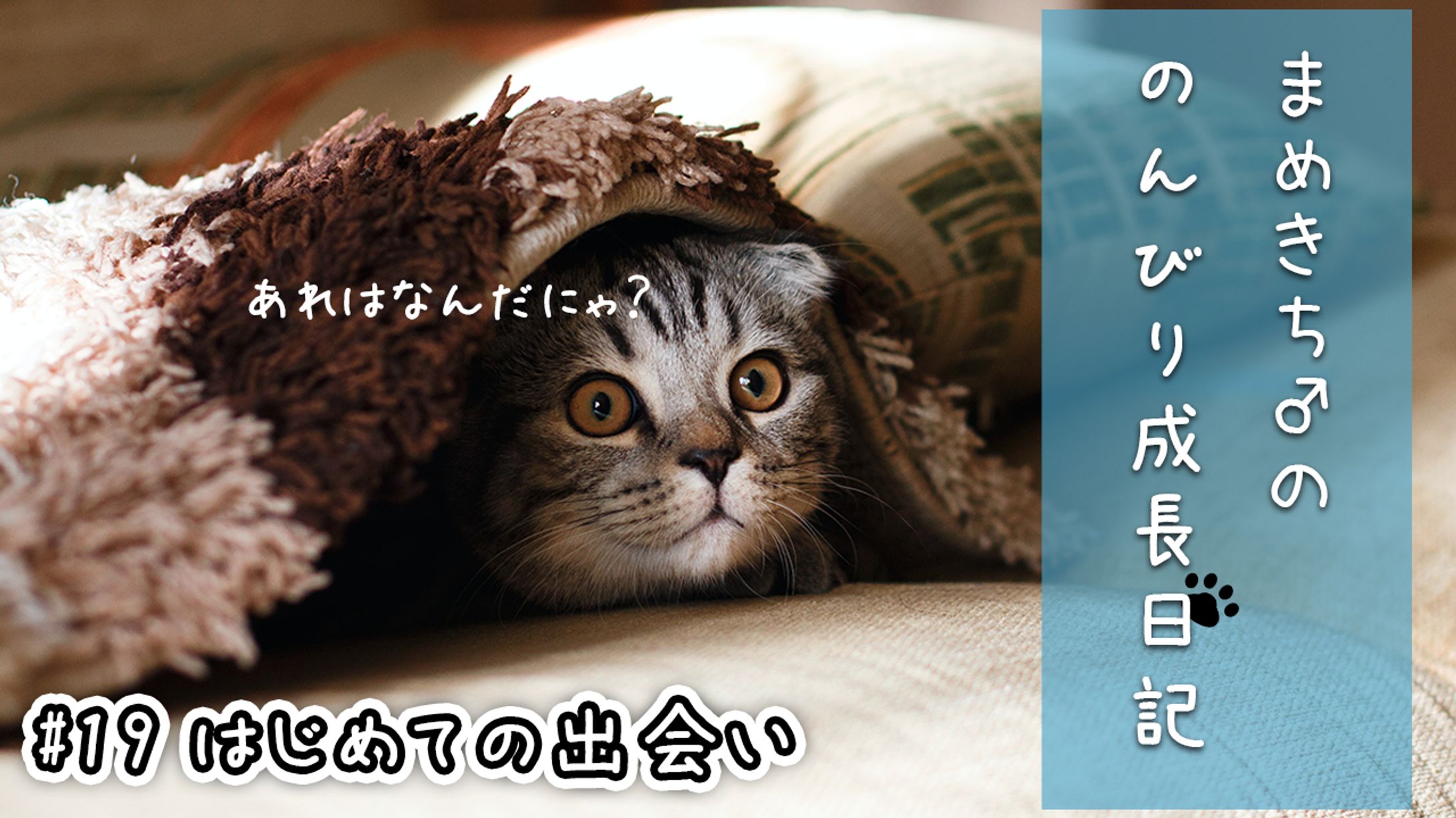 まめきち成長日記-1