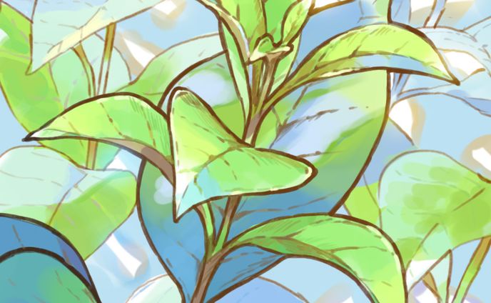 イラスト、アニメーション、キャリア