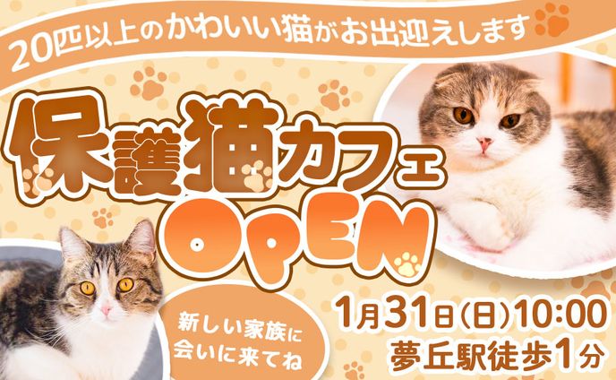 保護猫カフェバナー