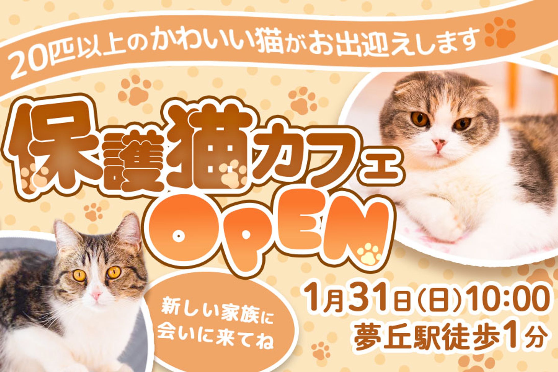 保護猫カフェバナー-1