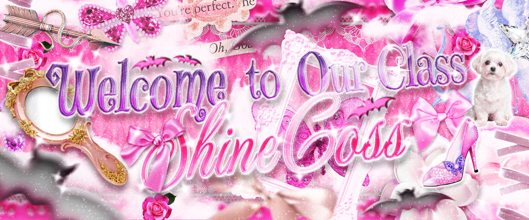 WELCOME TO OUR CLASS   SHINECOSS 2-1