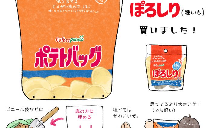 イラストレーター、漫画、キャンペーン