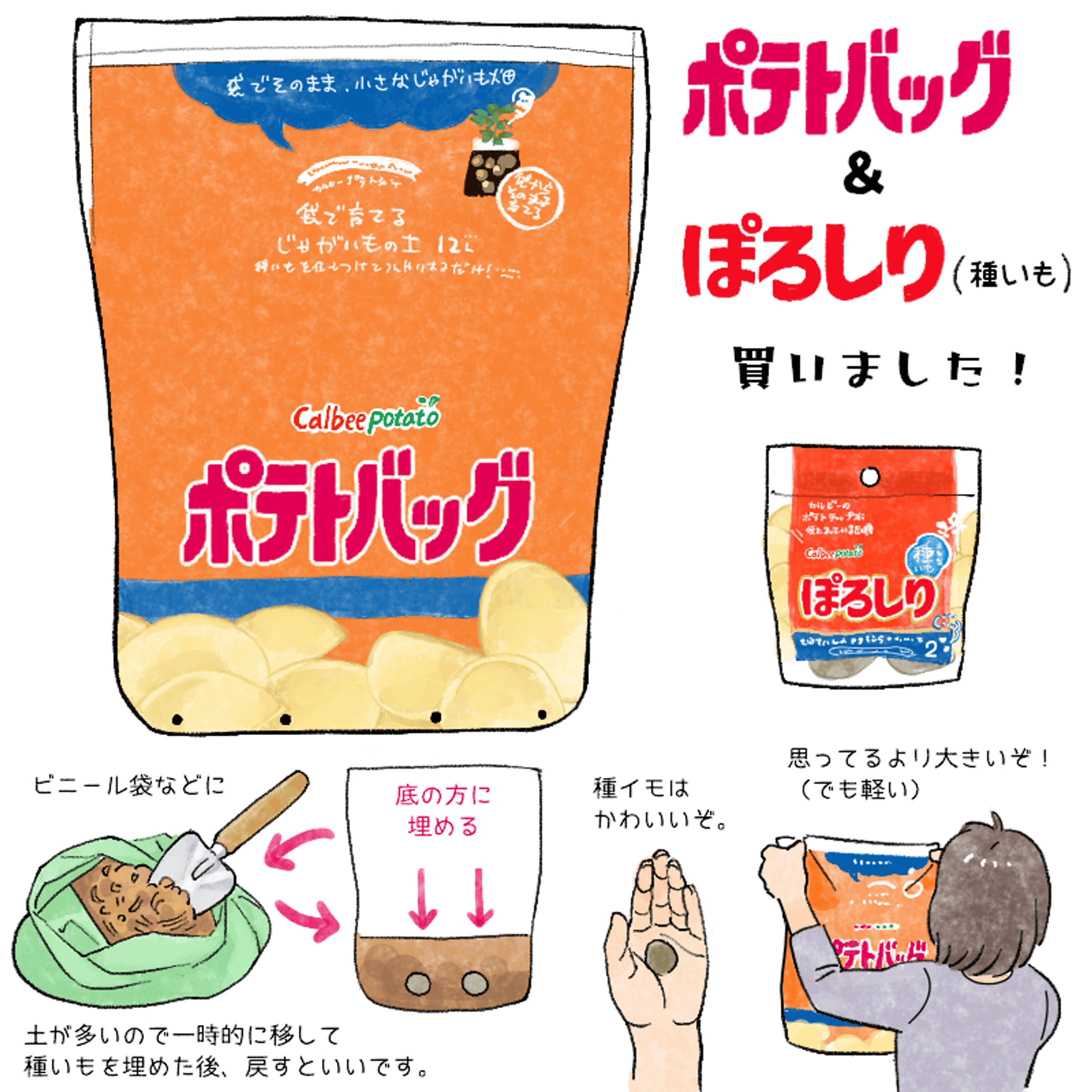 ポテトバック解説-1