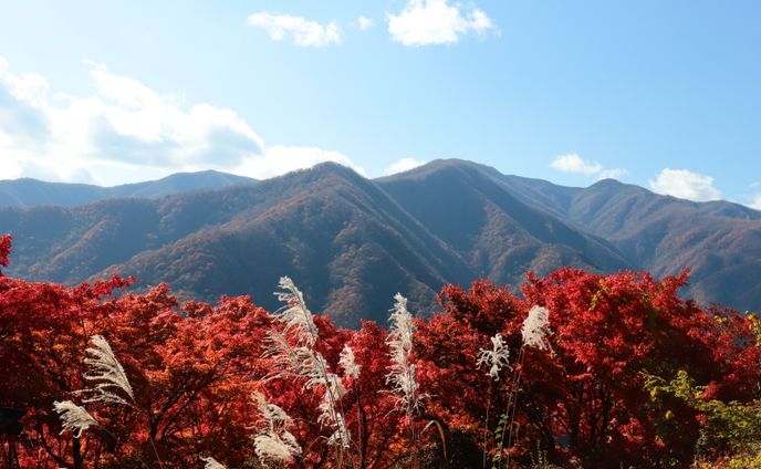 埼玉県 秩父市 三峯山