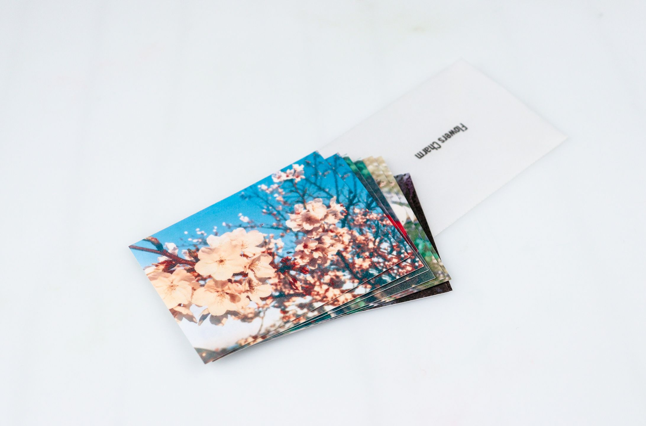 ステッカー販売-1