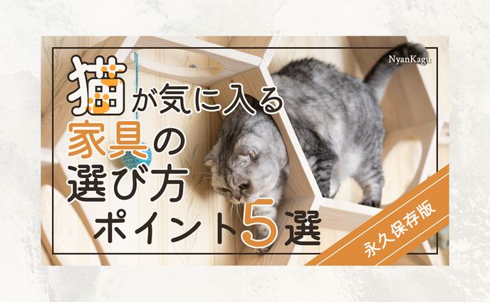 【サムネイル】猫向け家具