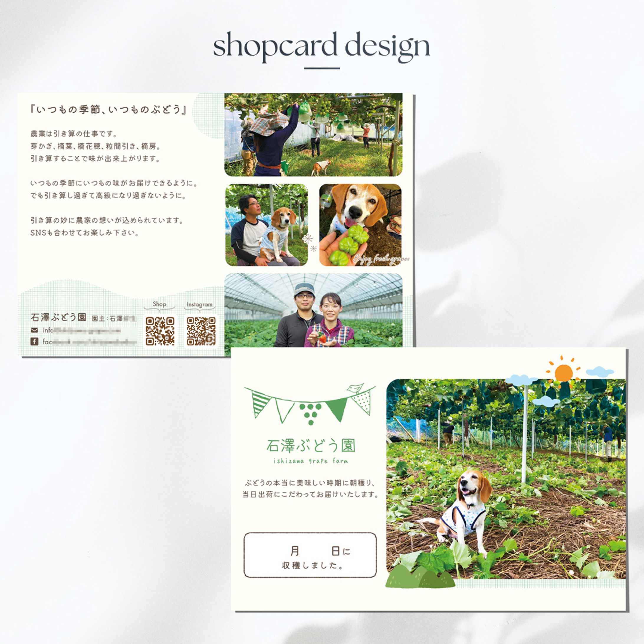 [works]ぶどう農園のショップカード（ポストカードサイズ）-1