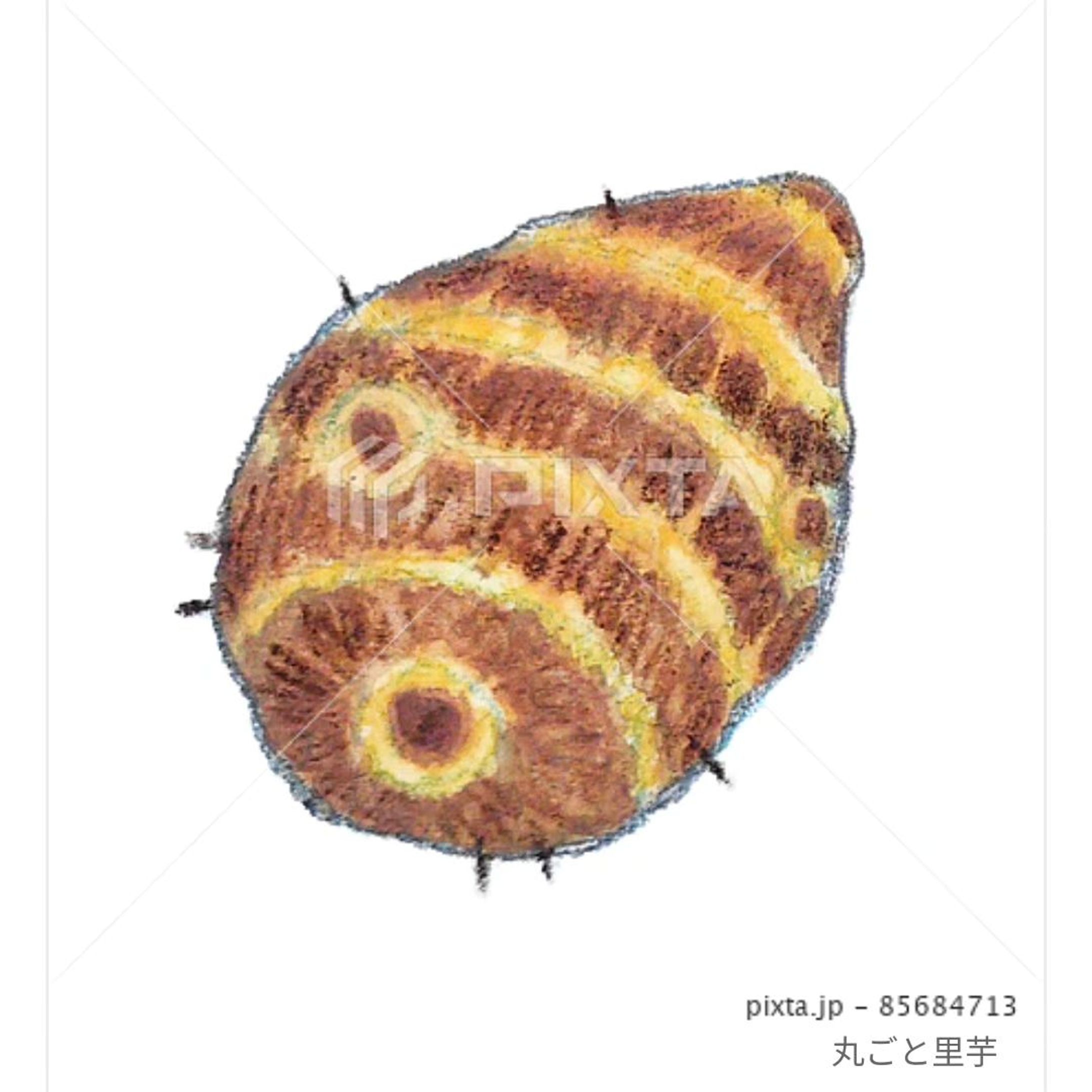 ⁡⁡■【秋冬のお野菜】
＼里芋／
⁡
⁡素材イラストとしてPIXTAさまにて販売中〜⁡
⁡よろしくお願いします⁡⁡🙇🏻‍♀️‪‪´-⁡
⁡
⁡⁡https://pixta.jp/illustration/85684713
⁡⁡
⁡┈┈┈┈┈┈┈┈┈┈⁡
⁡⁡
里芋の『どろんぼ和え』⁡ていう食べ方が好きです。⁡
⁡お味噌をみりんで練ったたれ(田楽のたれ？)に、ふかした里芋を和えるだけの。⁡
⁡お好みで、白すり胡麻をぱっぱっと。⁡
食べたくなってきた( 'ч'๑ )ŧ‹"ŧ‹"⁡⁡
⁡
⁡皮を剥くとき要注意な野菜ランキングTop３くらいに入ると思う⁡(何度も手を滑らせて危ないことになっている)⁡
⁡⁡
⁡
⁡⁡
⁡#素材イラスト #pixta #watercolors #水彩色鉛筆 #illustration #イラスト #クライアントさんと繋がりたい #出版社さんと繋がりたい  #食べ物イラスト #野菜イラスト #雑誌のお仕事をしたい #飲食店さんを応援したい #書籍のお仕事をしたい⁡⁡
⁡-1