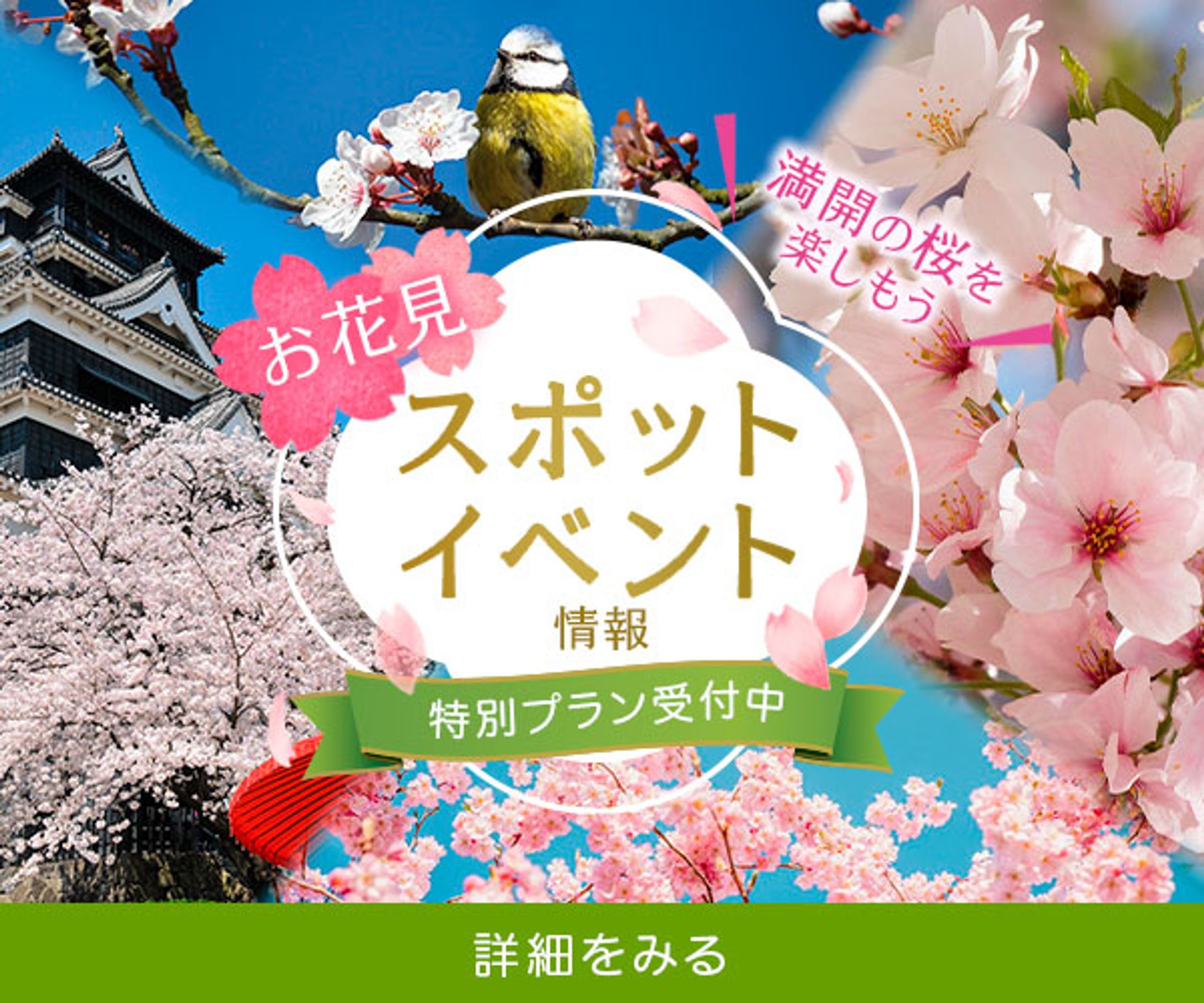 バナー　お花見情報-1