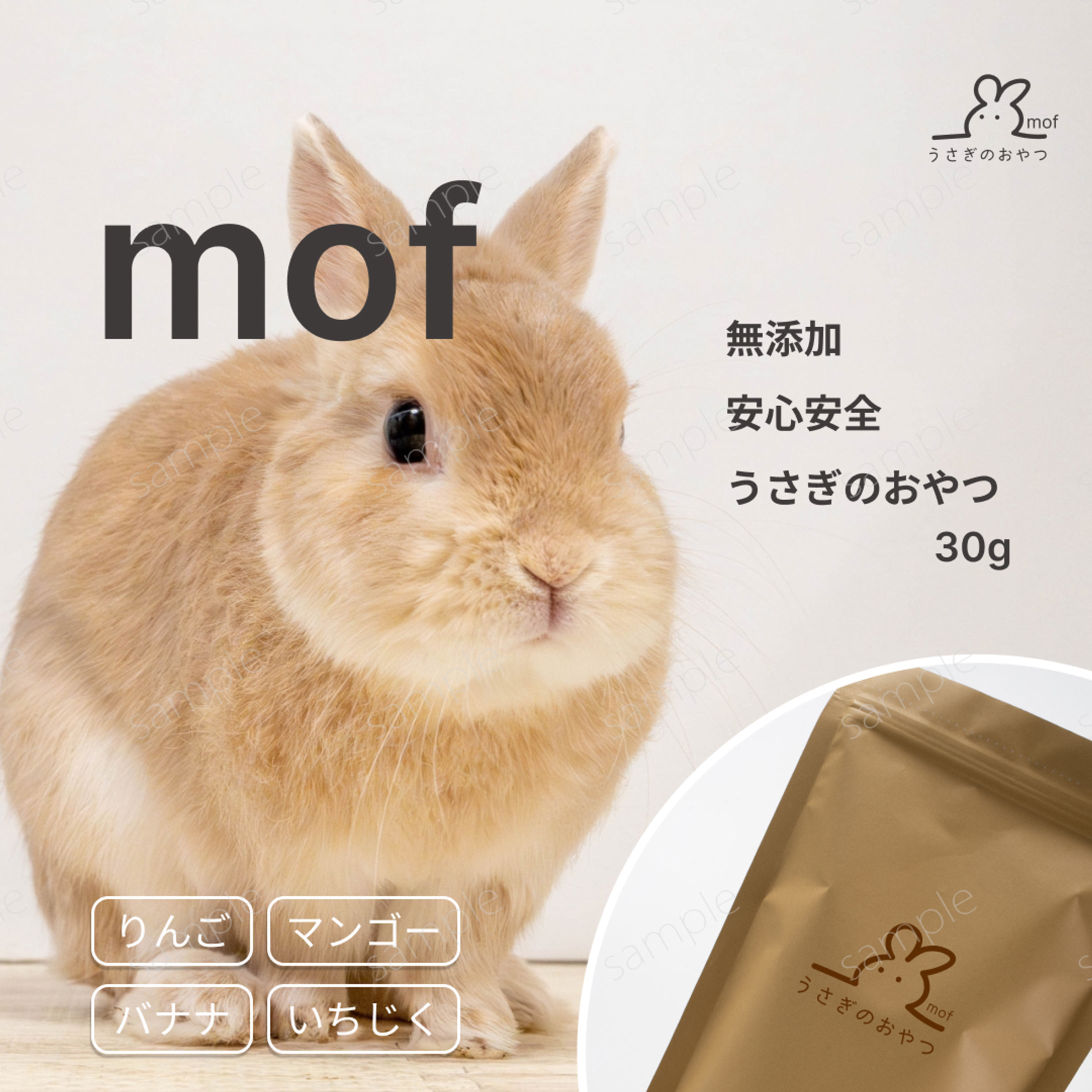 ペット関連[バナー]-1