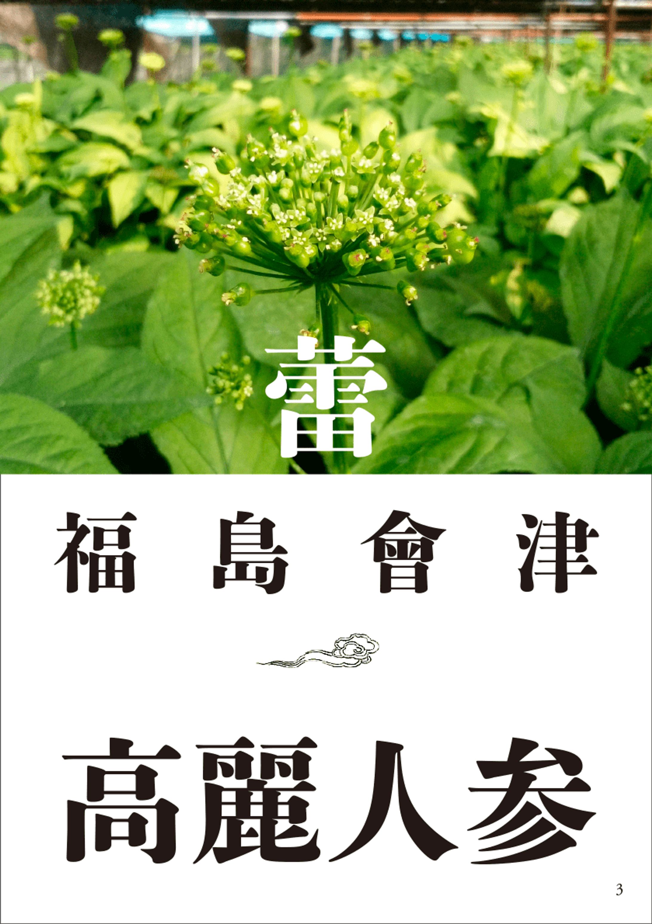 グラマラス東北 vol.08 中面右-1