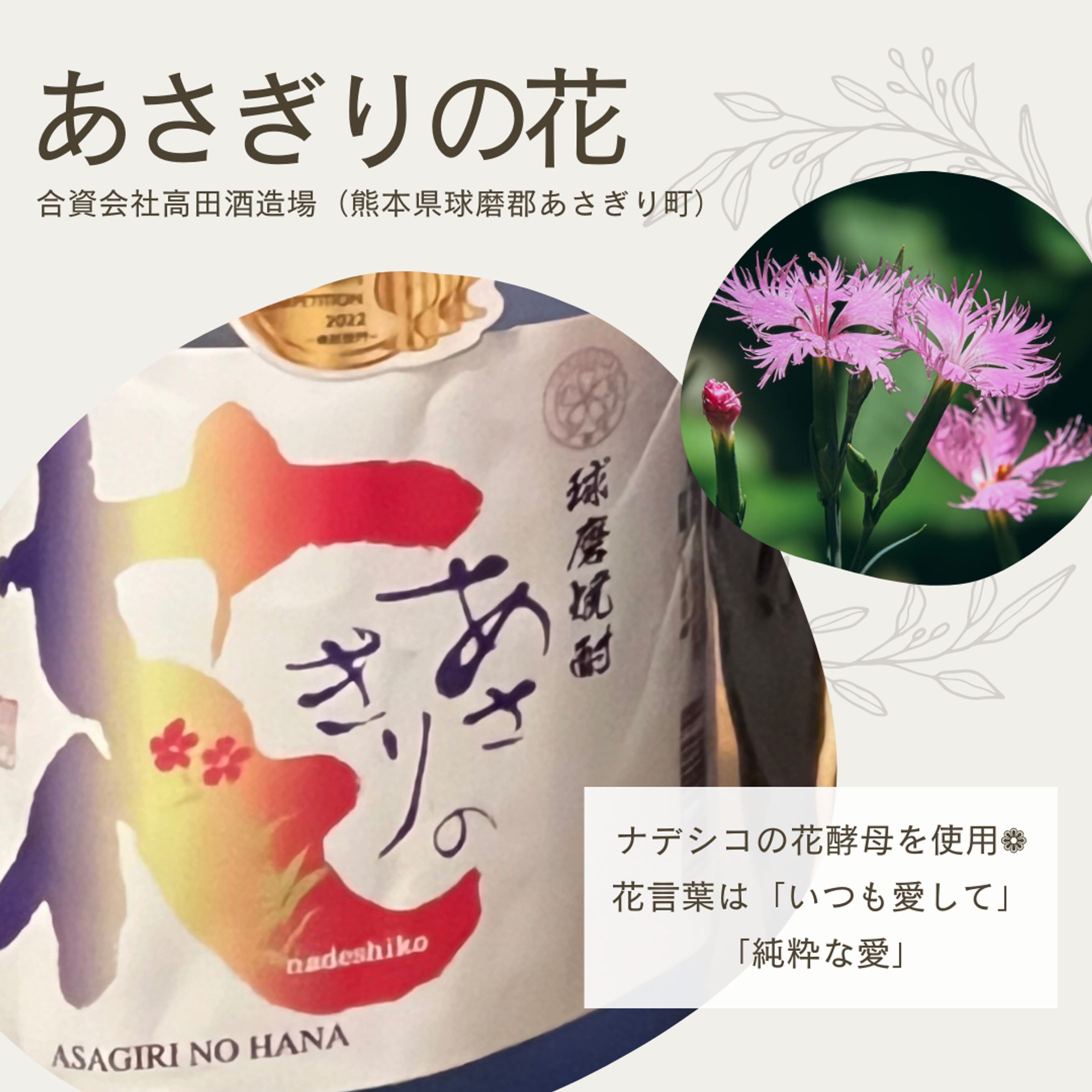 【あさぎりの花（合資会社高田酒造場）】2024年6月-1