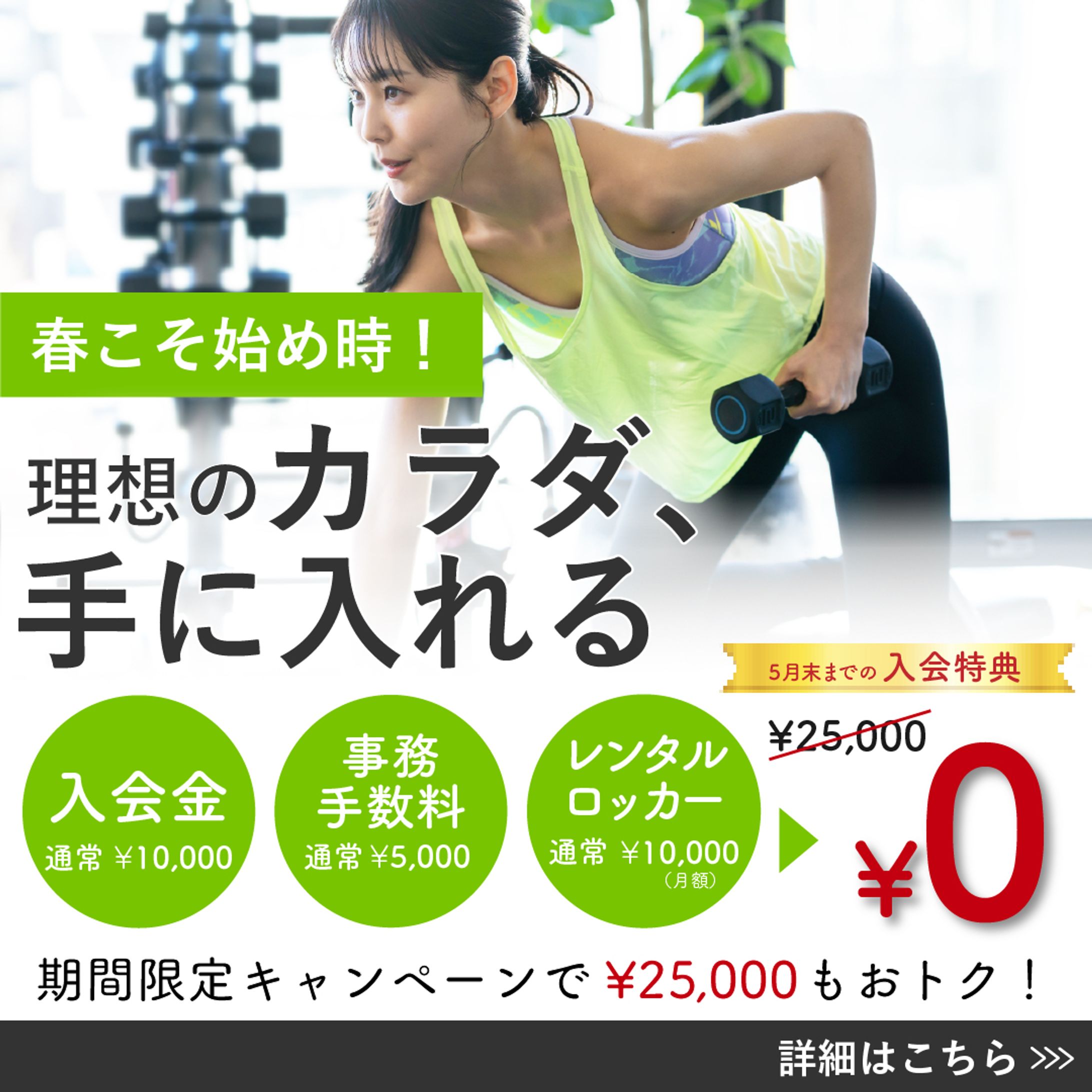 【制作実績】ジム新規会員募集-1