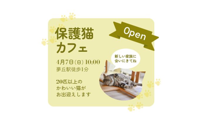【バナー】保護猫カフェ