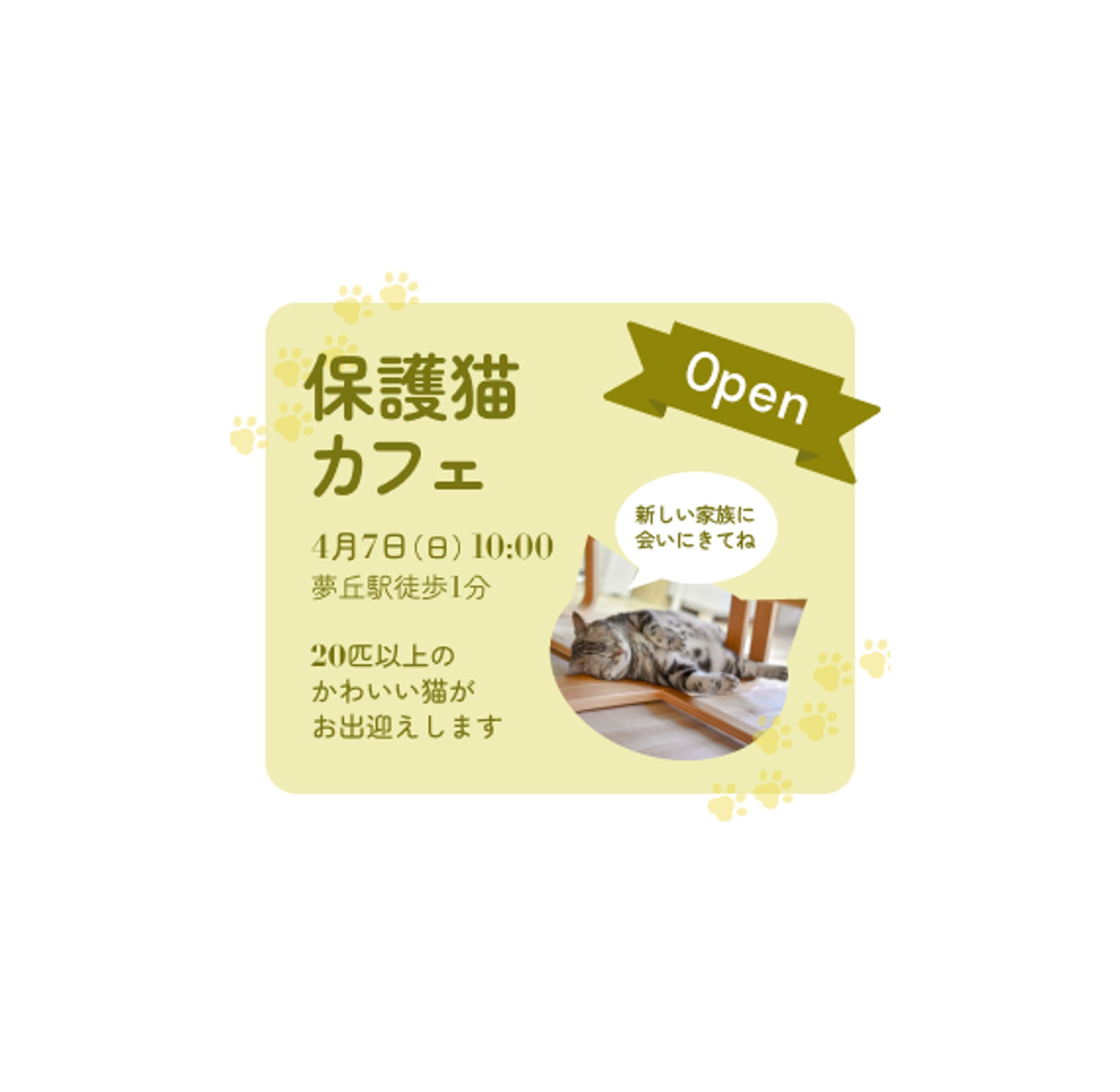 【バナー】保護猫カフェ-1