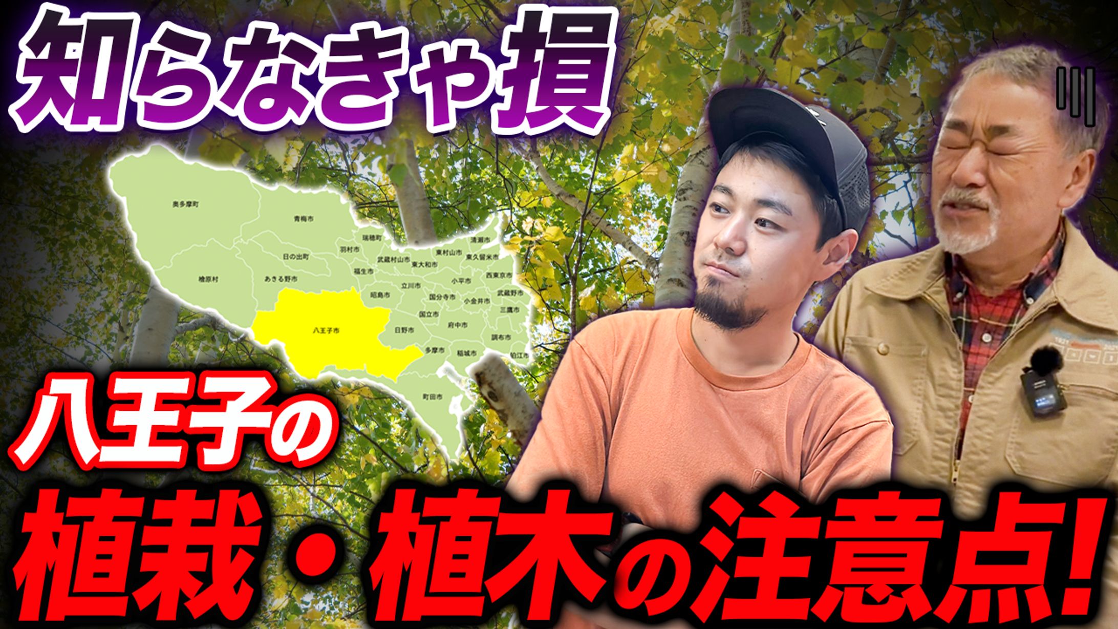 サムネイル PF-1