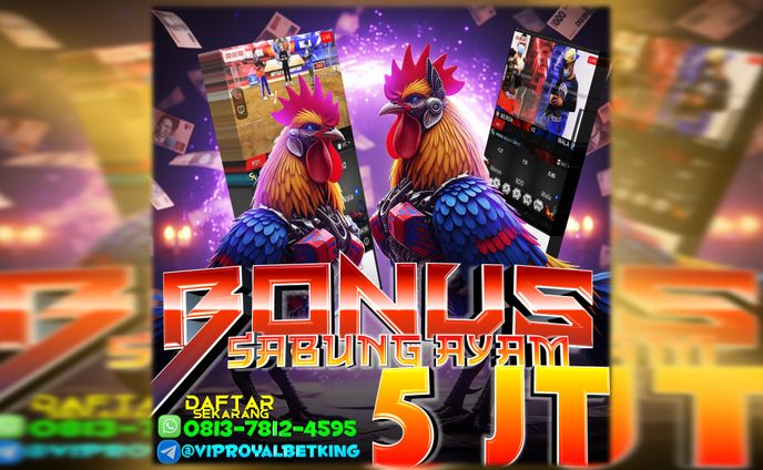 EVENT SABUNG AYAM ONLINE ROYALBETKING