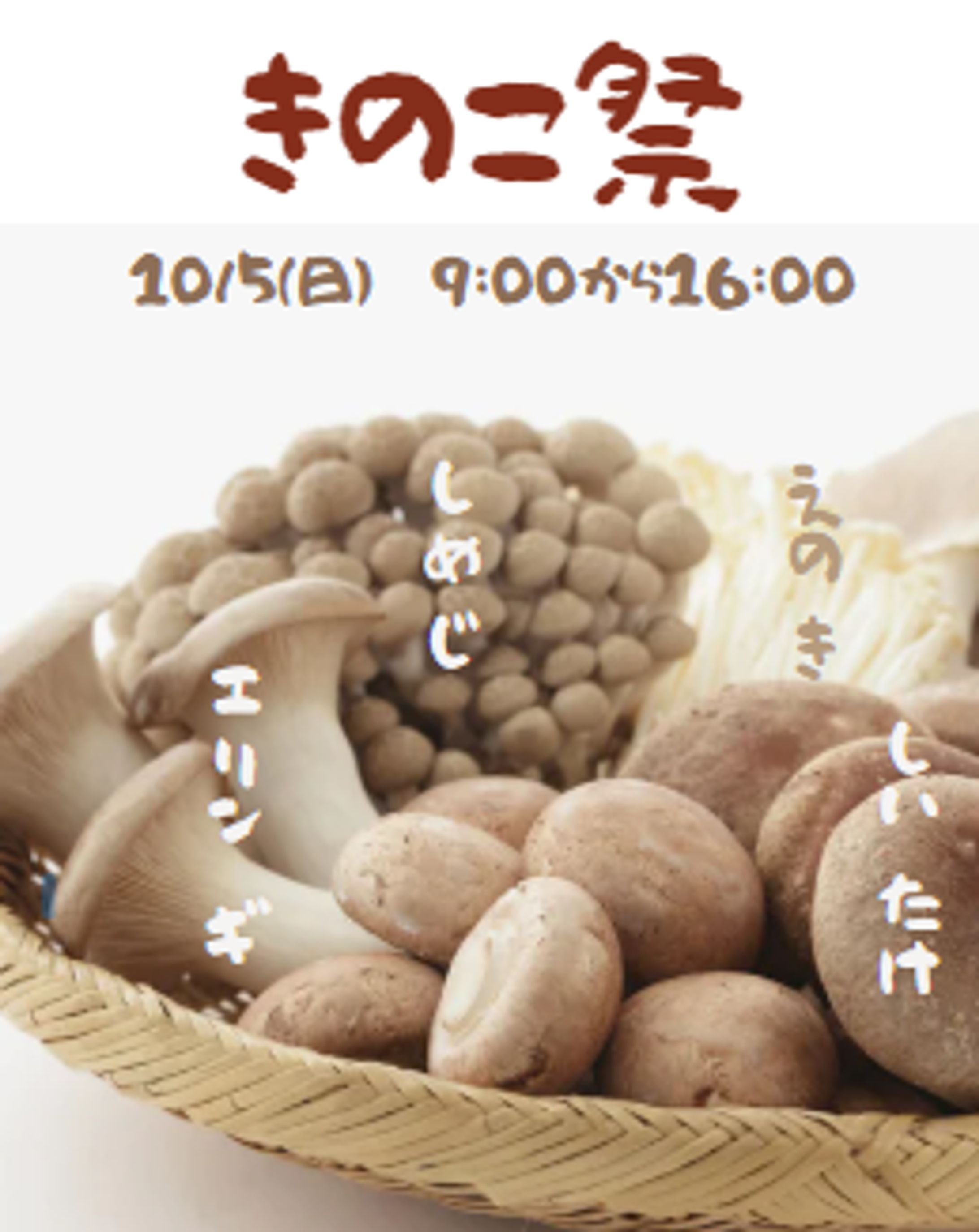きのこ祭　SNS用-1