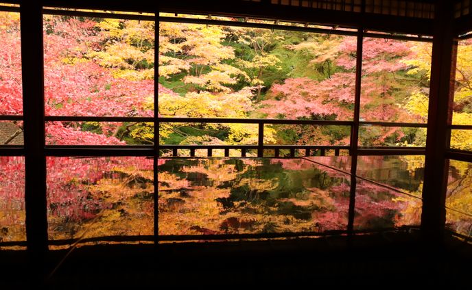 京都府 瑠璃光院