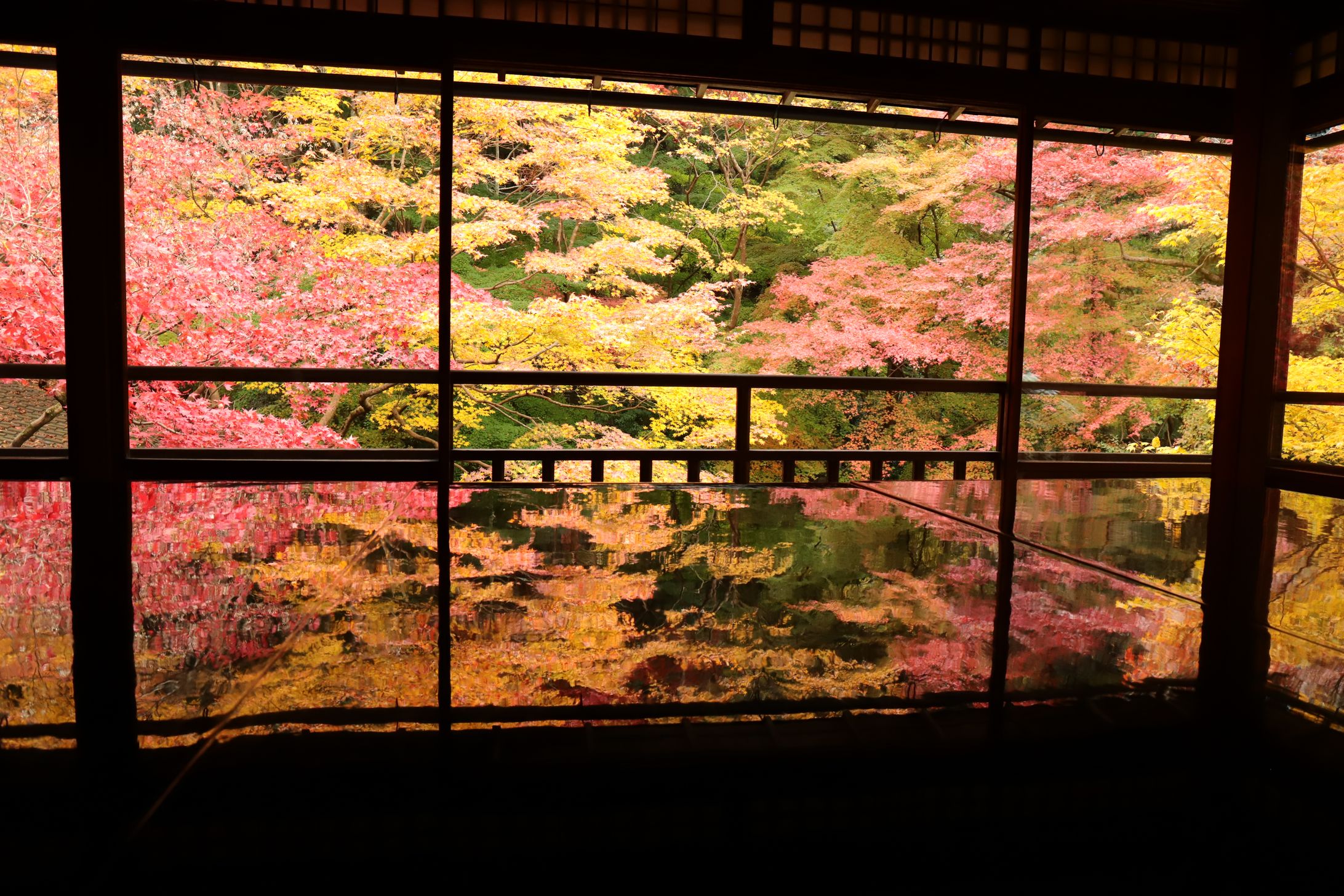 京都府 瑠璃光院-1