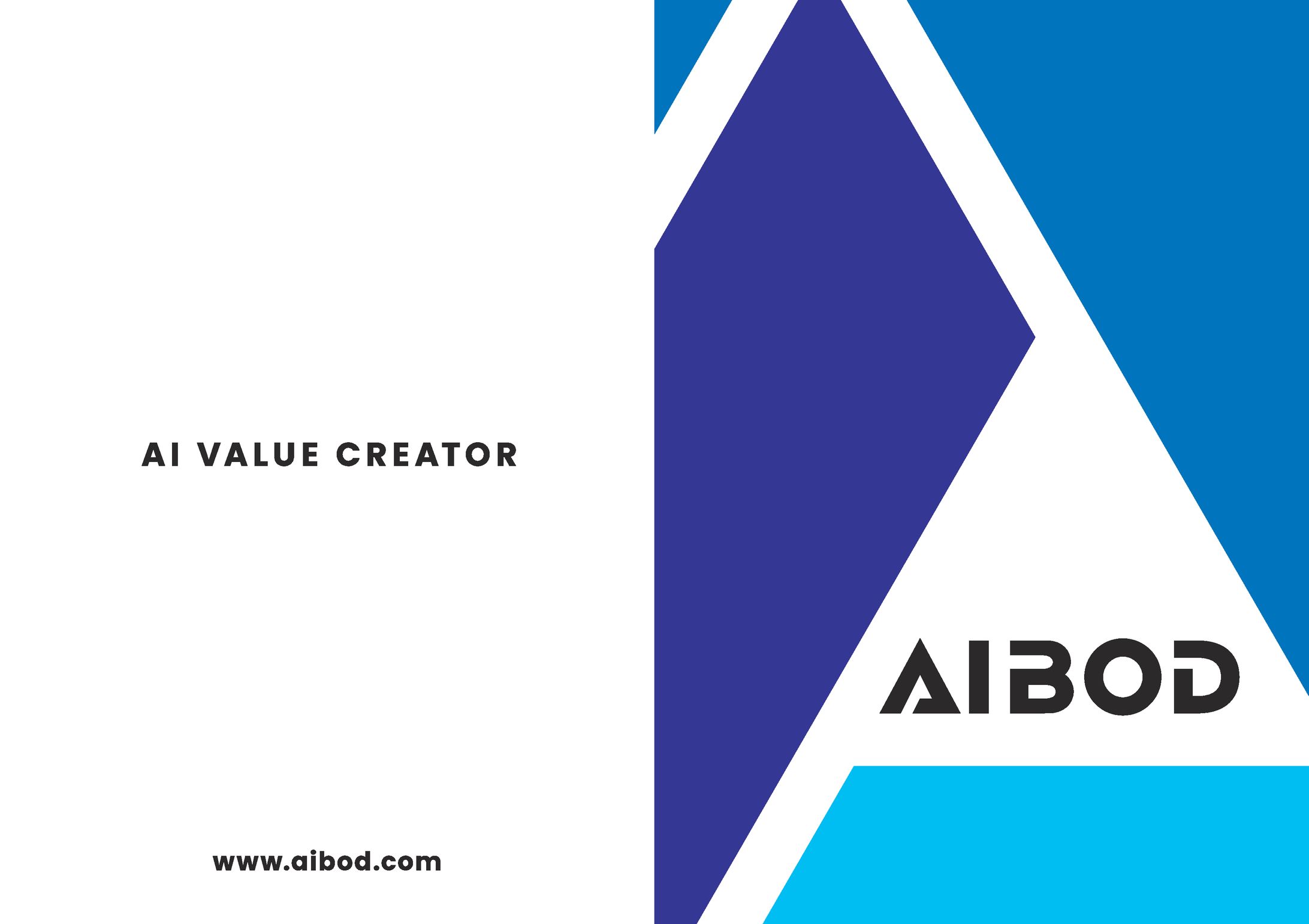 TeamAIBOD_会社案内パンフレット-1