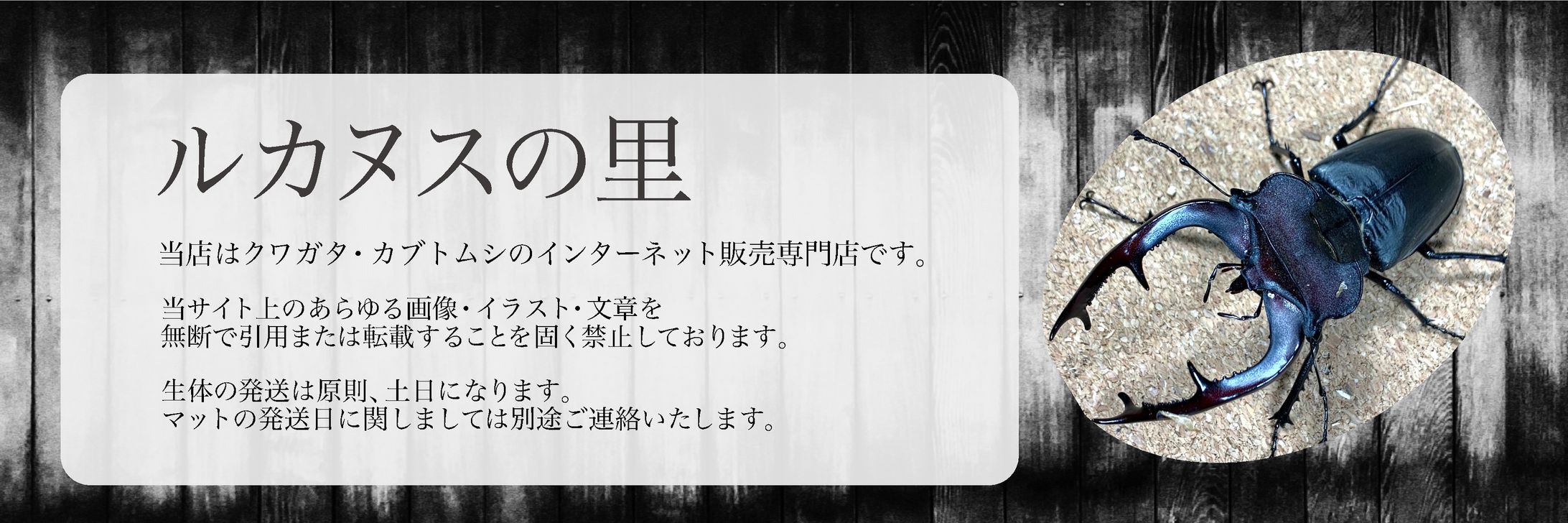ルカヌスの里様バナー-1