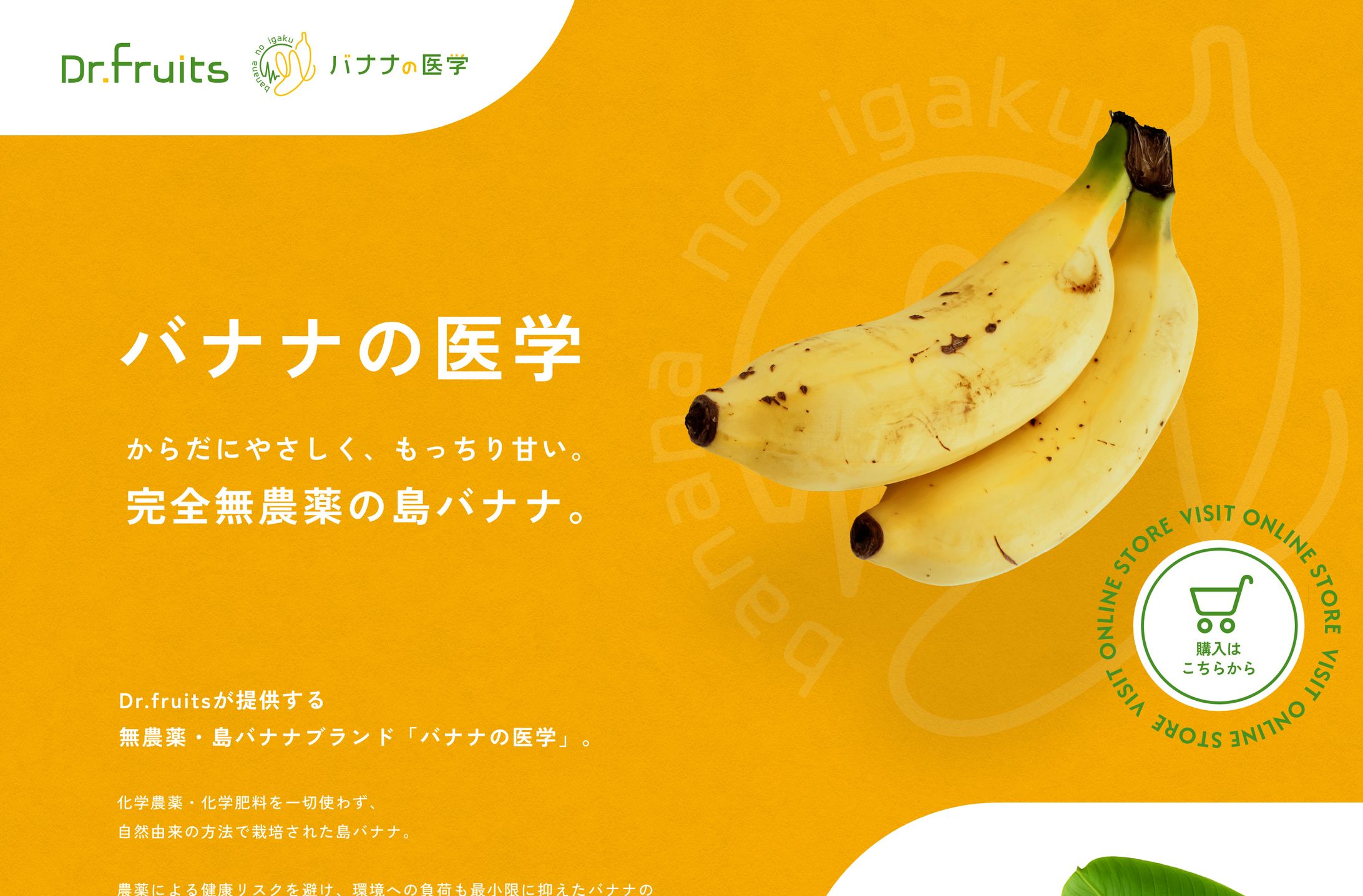 バナナブランドLP-1