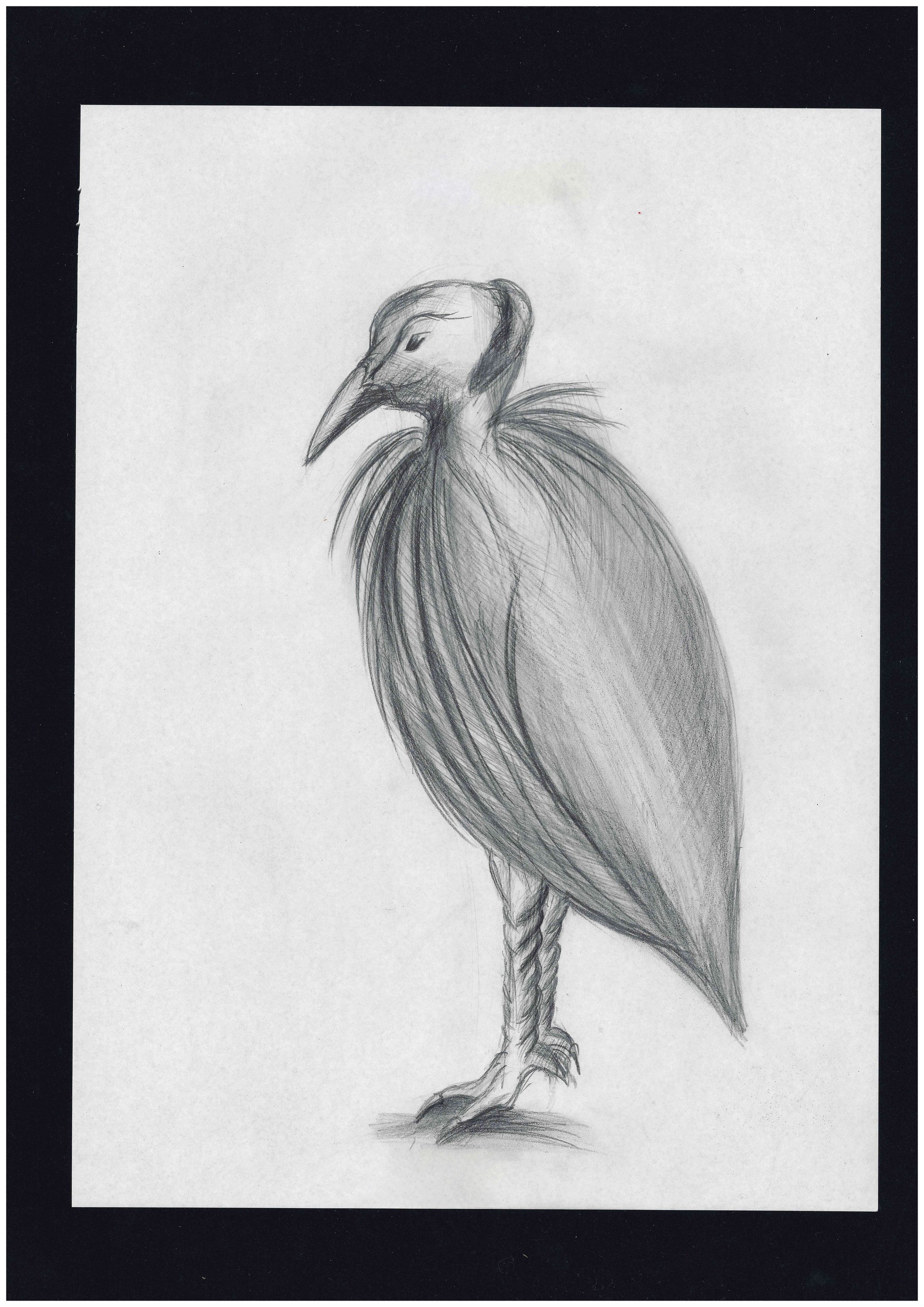 動物園でのスケッチ-1