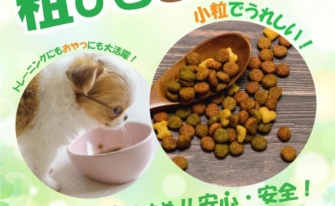 ドックフード通信販売
