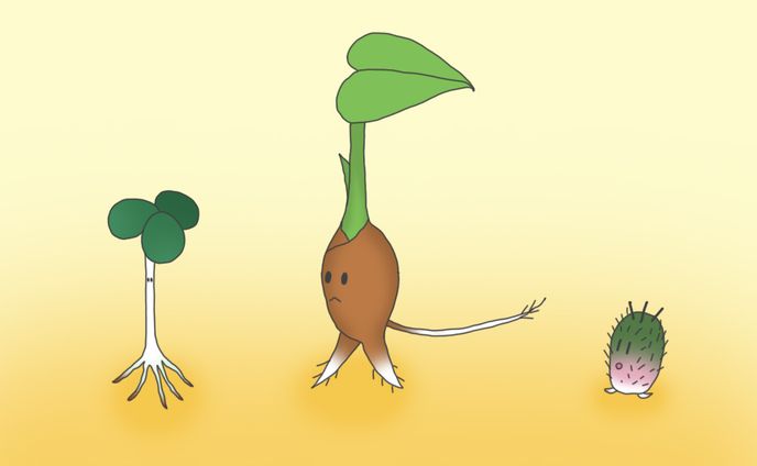 『植物たち』