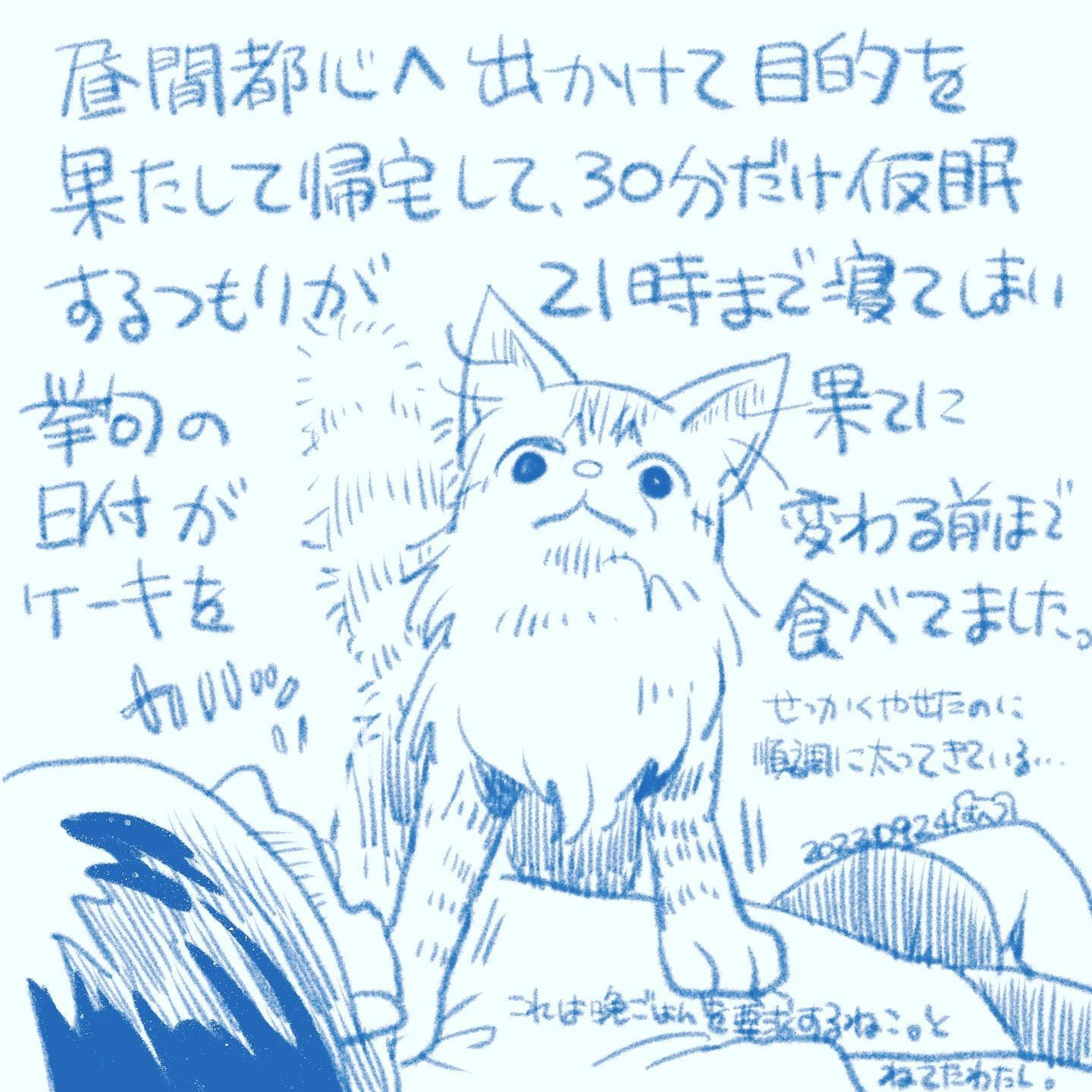 #絵日記 #むつれづれ草 #猫 #猫のいる生活-1