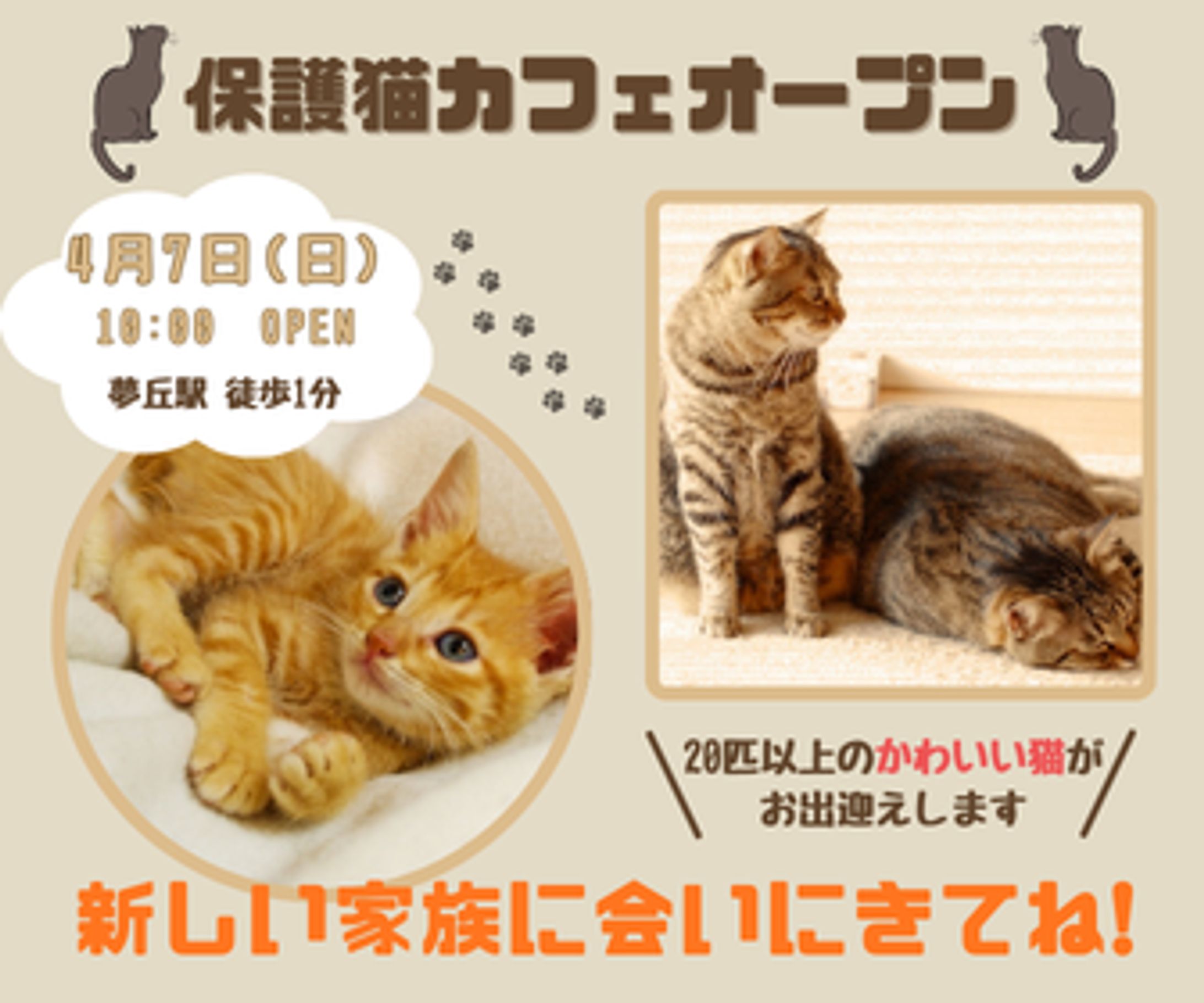 【架空案件】保護猫カフェバナー-1