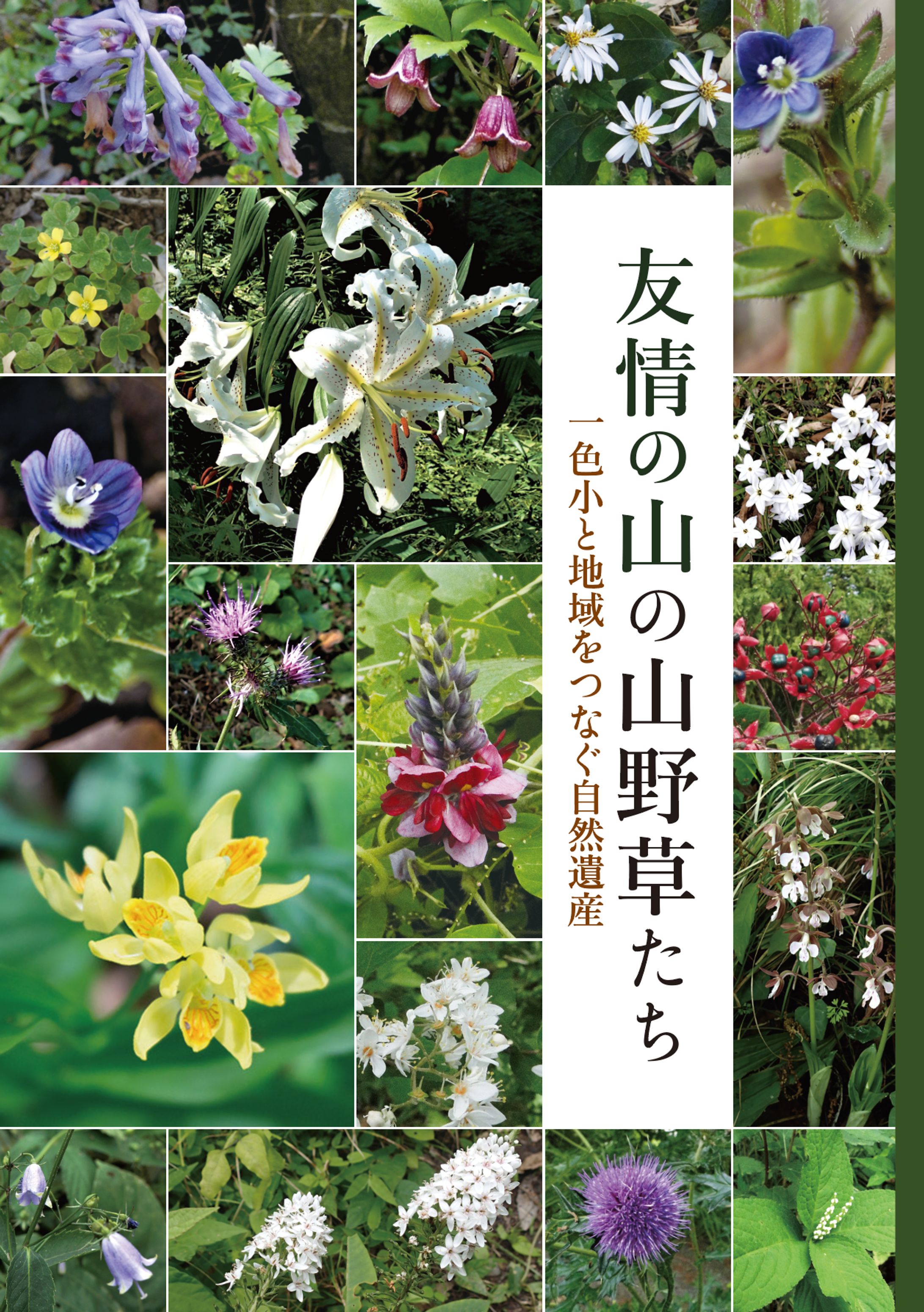 冊子デザイン-1