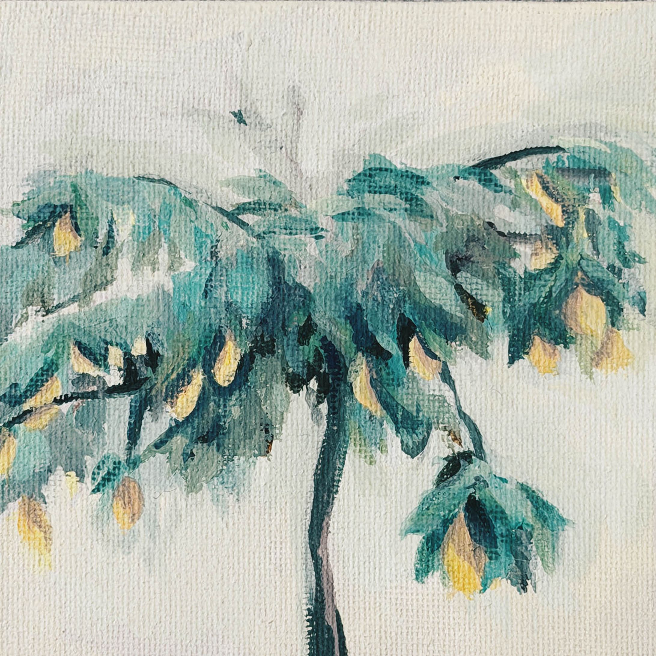 🍋 季節の途中｜In the Middle of the Season-1